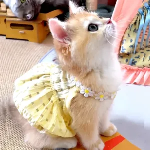Pretty Small Cat Dress Summer Cute Dog Skirt Thin Yellow Floral Wreath Collar Mini Dog Princess Dress Breathe Small Cat Skirt