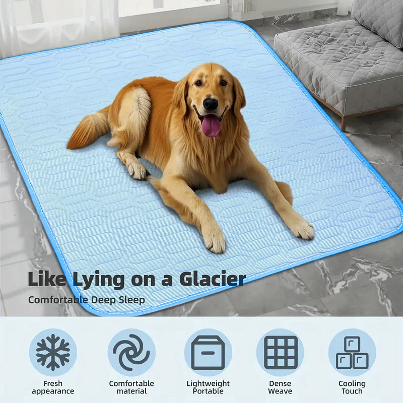 kf-S85040e40c69645d2a9fd5631daa69605D