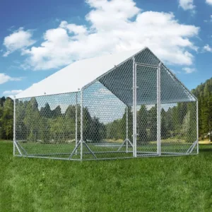 Large Metal Chicken Coop with Run Walk-in Poultry Cage -Ultraviolet Cover for Outdoor Backyard Farm Use 9.8’L x 6.6’W x 6.4’H